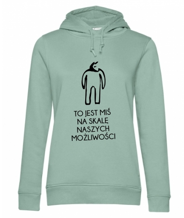 To jest miś