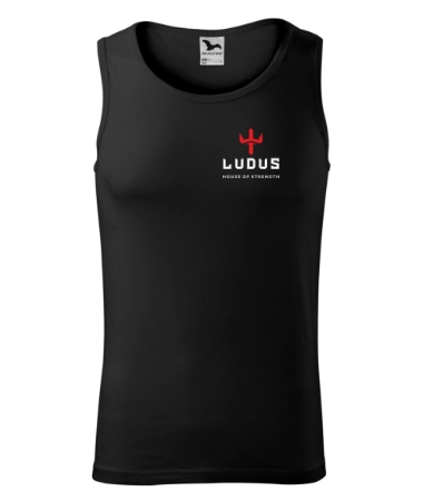 Ludus