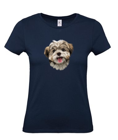 Pies Shih tzu