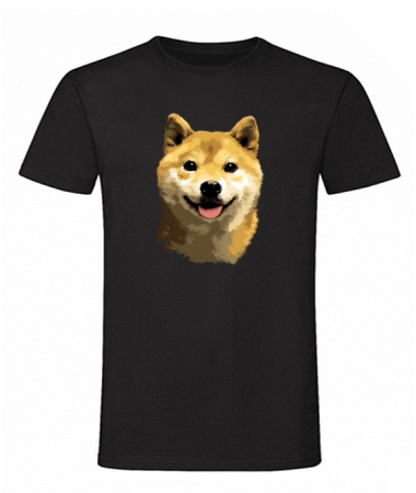 Shiba