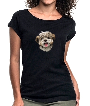 Pies Shih tzu