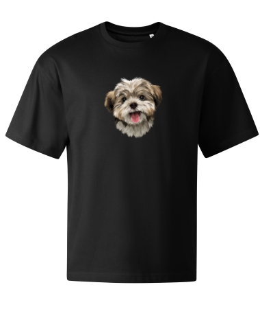 Pies Shih tzu