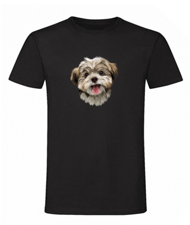 Pies Shih tzu