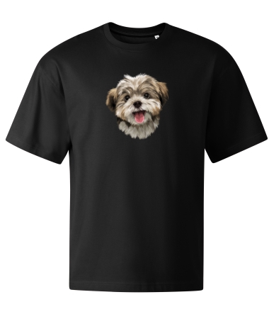 Pies Shih tzu