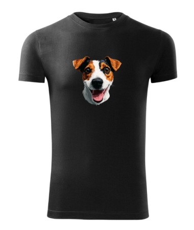 Jack Russell terrier